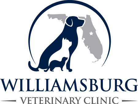Williamsburg Veterinary Clinic